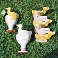 Ducks